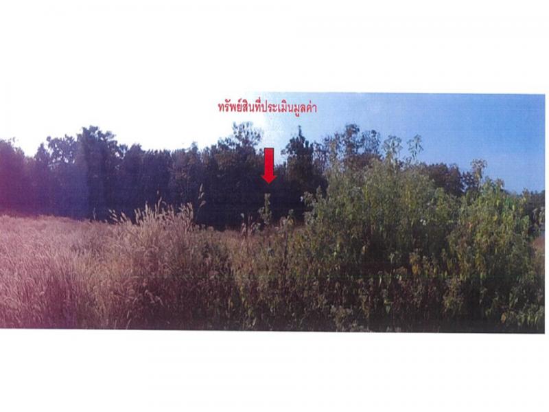 ที่ดินหลุดจำนอง ธ.ธนาคารออมสิน พะเยา ภูซาง -