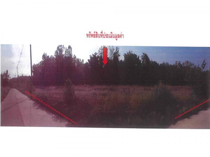 ที่ดินหลุดจำนอง ธ.ธนาคารออมสิน พะเยา ภูซาง -