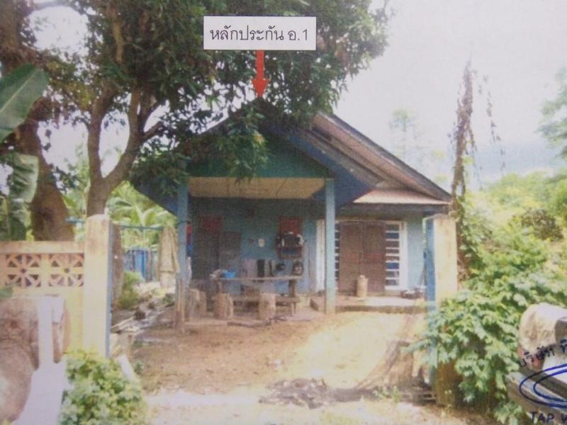 บ้านเดี่ยวหลุดจำนอง ธ.ธนาคารอาคารสงเคราะห์ พะเยา เมืองพะเยา แม่กา