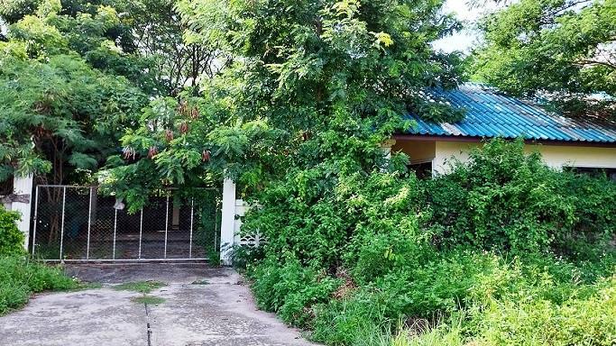 บ้านเดี่ยวหลุดจำนอง ธ.ธนาคารอาคารสงเคราะห์ พะเยา เมืองพะเยา ท่าวังทอง